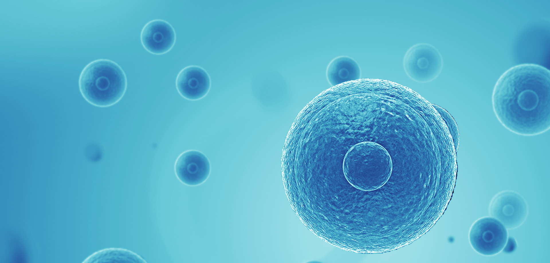 以患者需求為核心，驅(qū)動(dòng)細(xì)胞免疫治療創(chuàng)新，實(shí)現(xiàn)癌癥可控化并最終治愈。