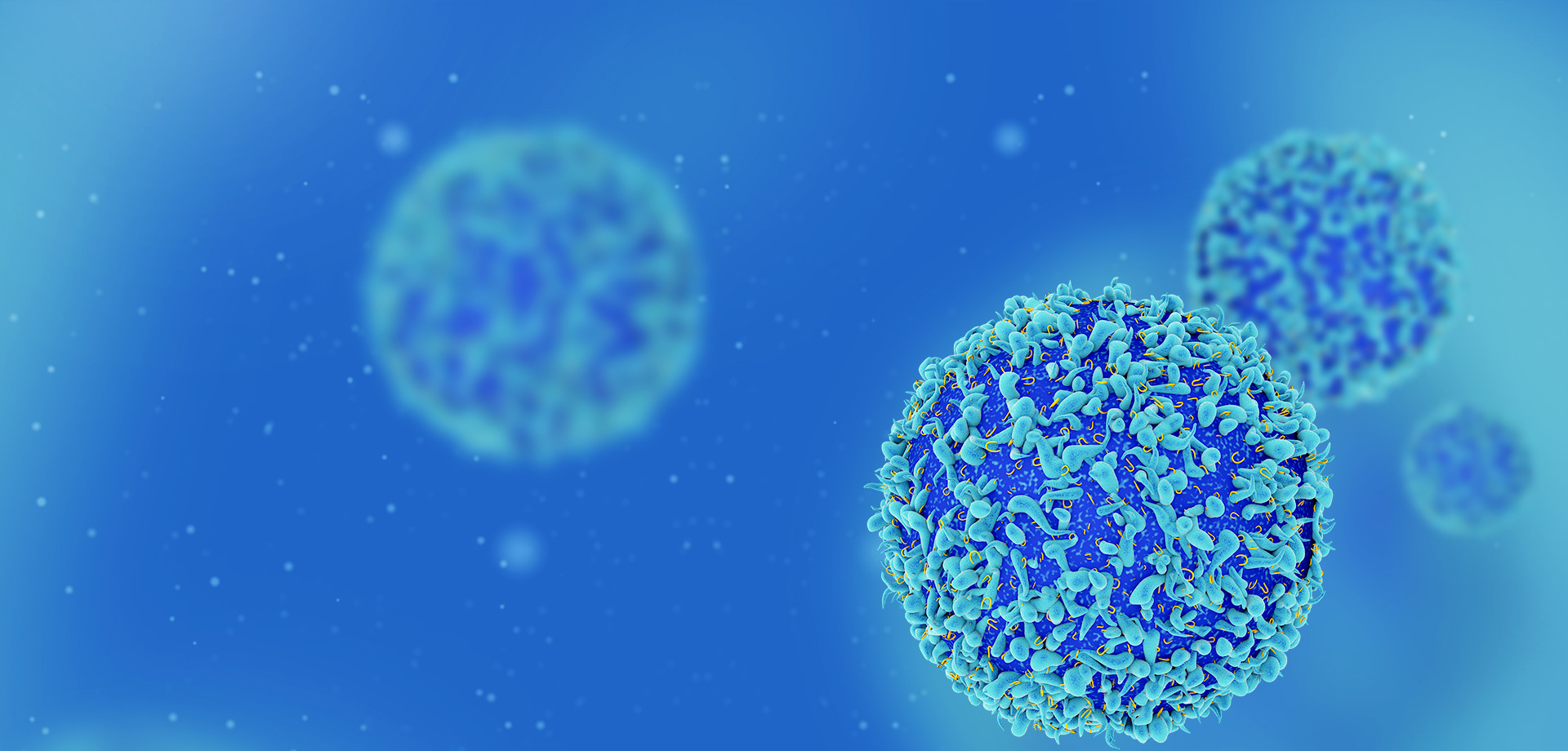 成為全球細(xì)胞免疫治療領(lǐng)域的領(lǐng)導(dǎo)者之一。